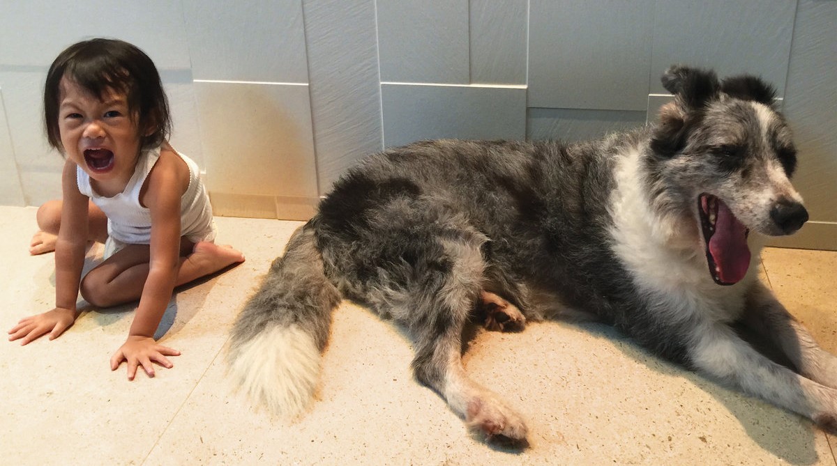 Canciones para sobrevivir XXVII – Octubre 22,&nbsp;2017