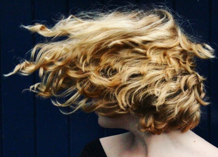 Canciones para sobrevivir XXIX – Noviembre 5,&nbsp;2017