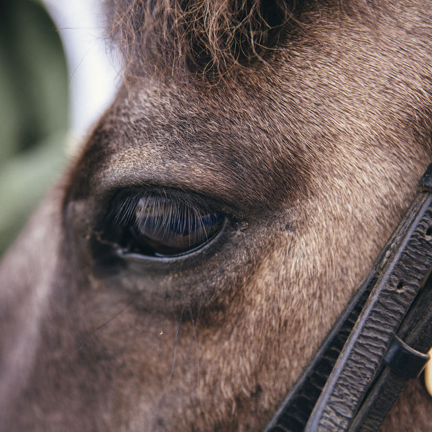 Canciones para sobrevivir LXXI – Septiembre 30,&nbsp;2018