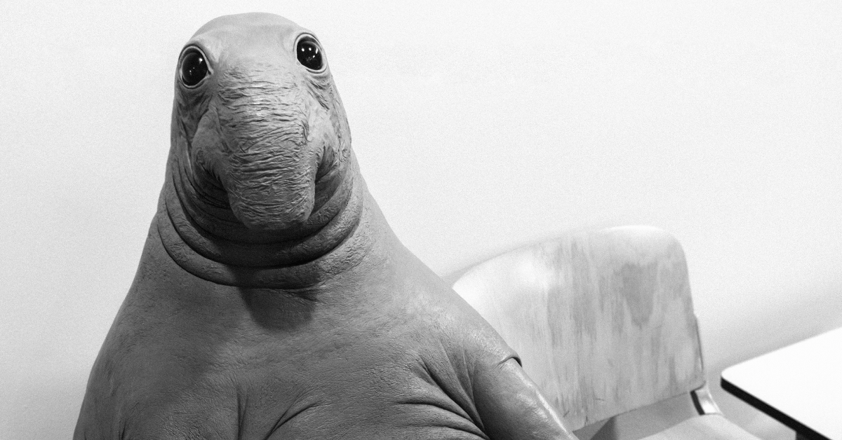 Canciones para sobrevivir CC – Febrero 28,&nbsp;2021