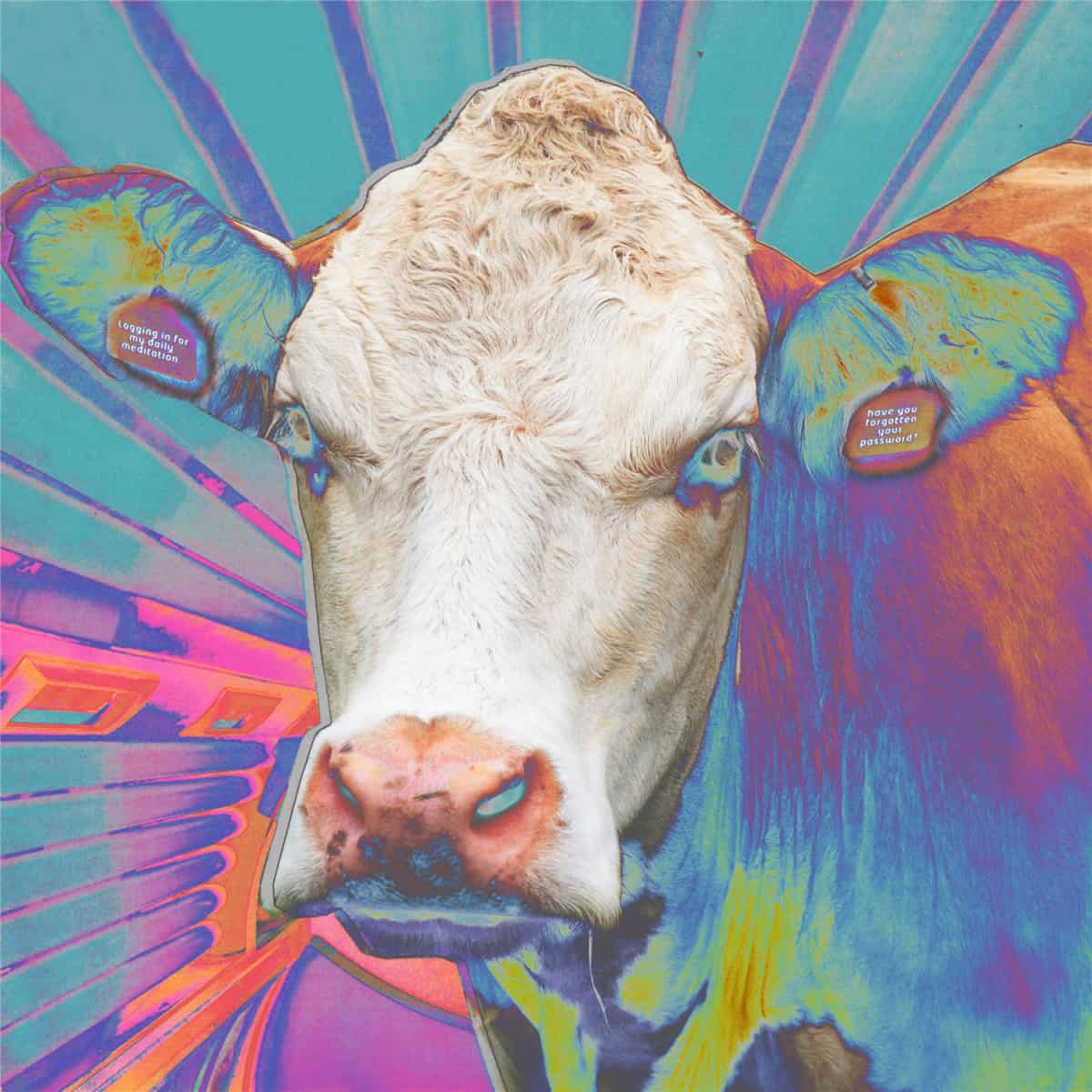 Canciones para sobrevivir CCCXVI – Mayo 21,&nbsp;2023